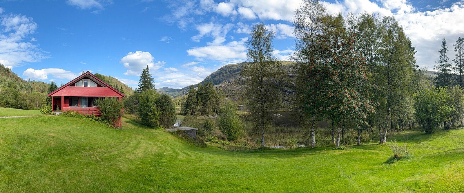 Gullbotn ved vannet med fjell bak